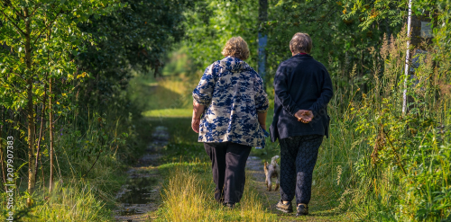 This image: stock image of an older couple walking with their 
						backs to the camera along a rural footpath surrounded by greenery.
						The map: satellite imagery centred on the site, to the southwest 
						of Oxted, and just south of Broadham Green. The site is outlined 
						in a dotted green line.